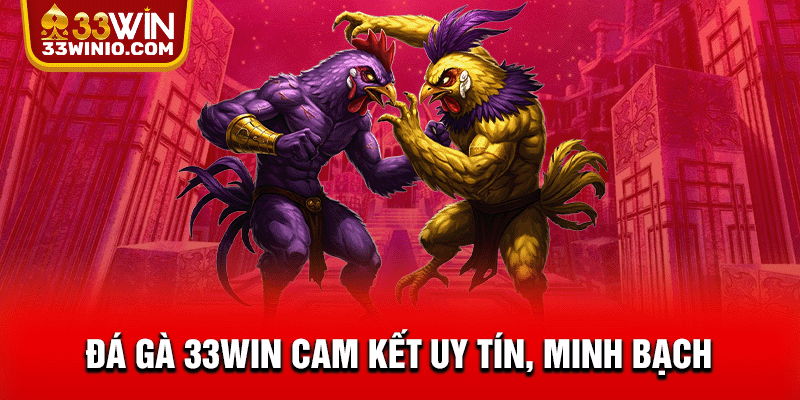 Đá gà 33WIN cam kết uy tín, minh bạch